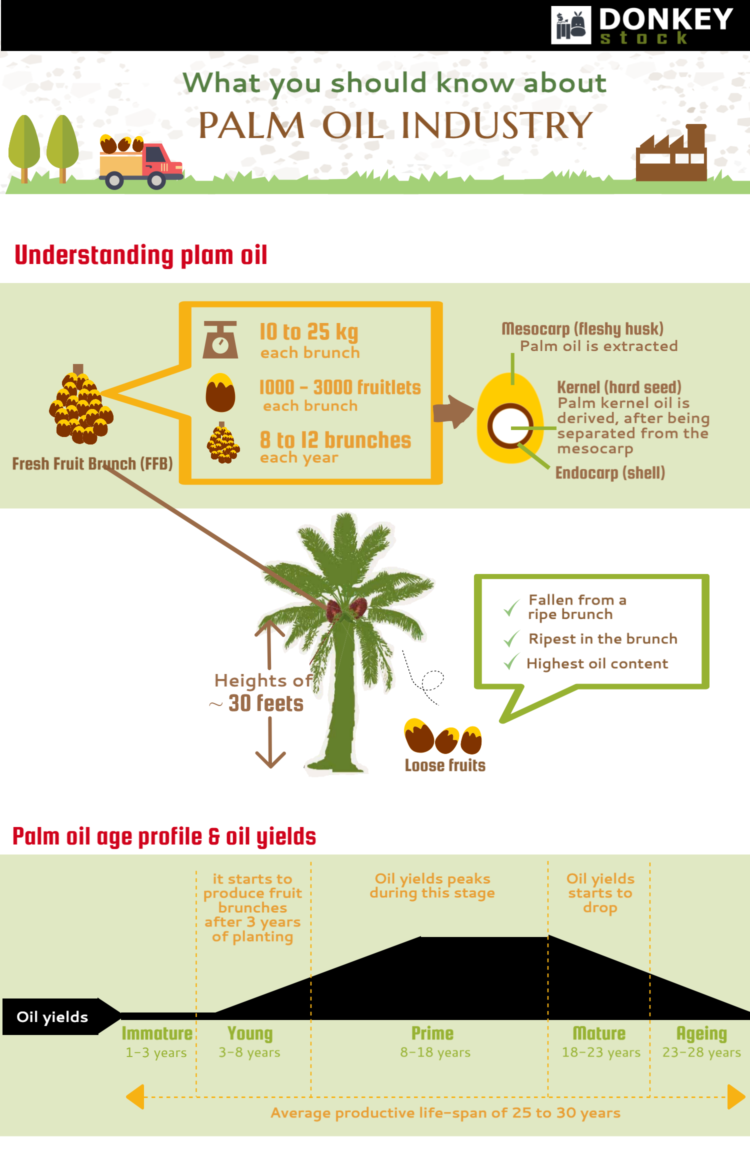 Facts of Malaysia Palm Oil Industry